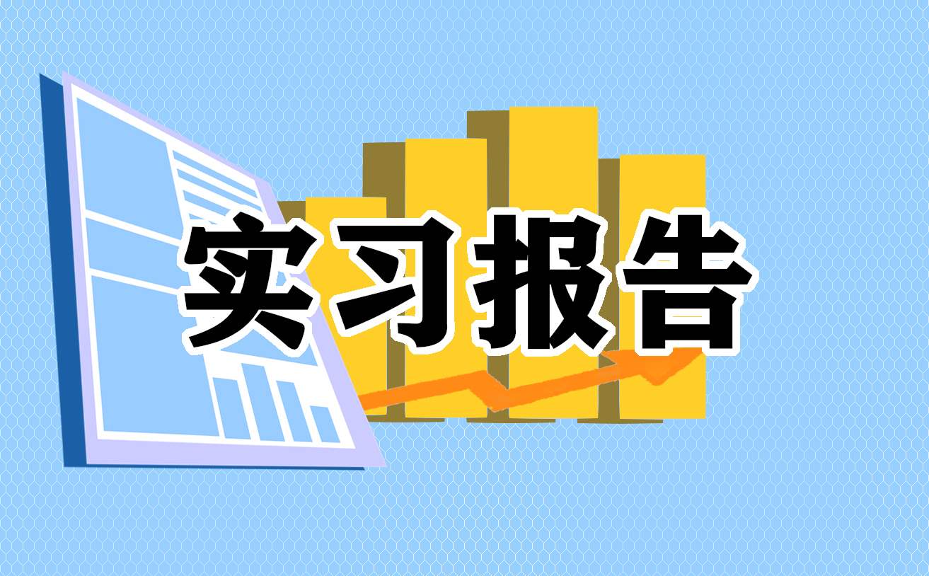 最新个人实训工作报告怎么写 实训个人工作情况总结