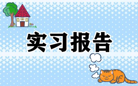 顶岗实习服务顾问报告书 顶岗实践业务总结报告3000字