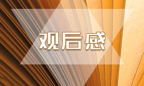 2023年中小学生（幼儿）“安全教育日”观后感 全国中小学生安全教育日观后感