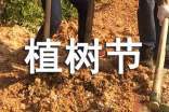 学生植树节策划书 学生植树节活动