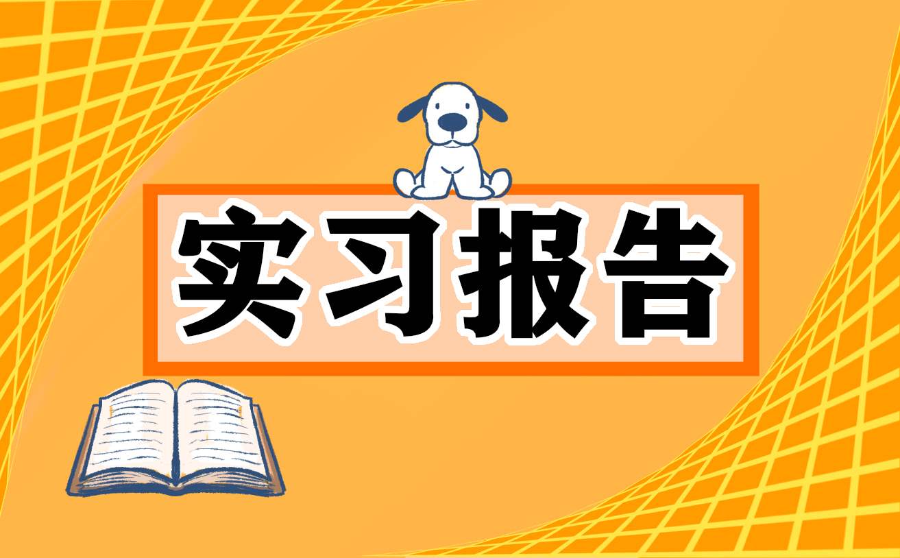 实习报告个人工作总结 