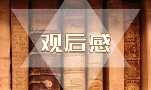 行政工作心得体会感悟 行政工作心得体会感悟简短50字