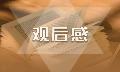 2023国家安全教育日公开课观后感10篇 国家安全教育日直播观后感