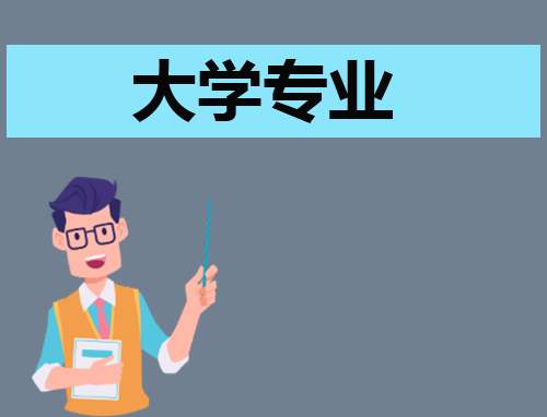 城市规划专业实习报告 城市规划实践报告