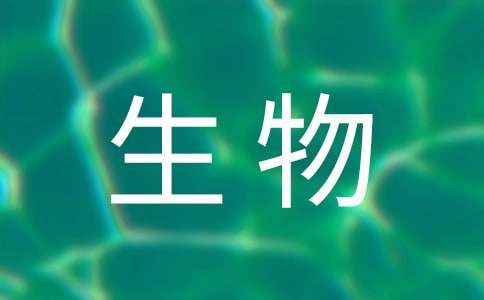 初中生物期末教学工作总结 初中生物教学视频