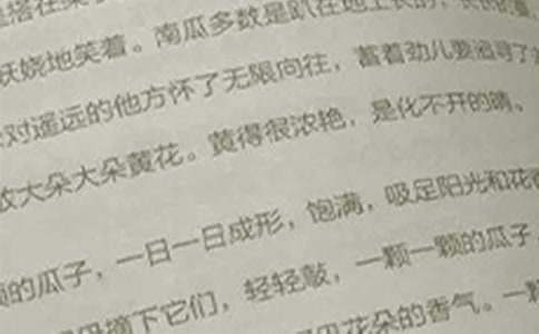 高三语文教学工作总结 高三语文教学工作总结和反思